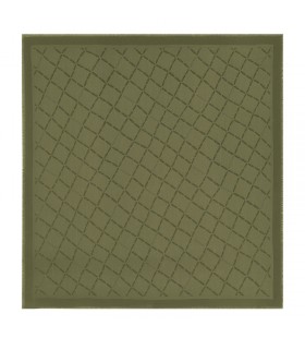 Longchamp Le Roseau Shawl Khaki - Silk Cumaisc